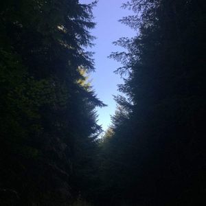 Meet your Posher, Jb